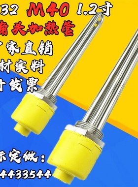 M40 1.2寸 DN32锅炉水箱加热管加热空气工程能电导热油棒220 380V