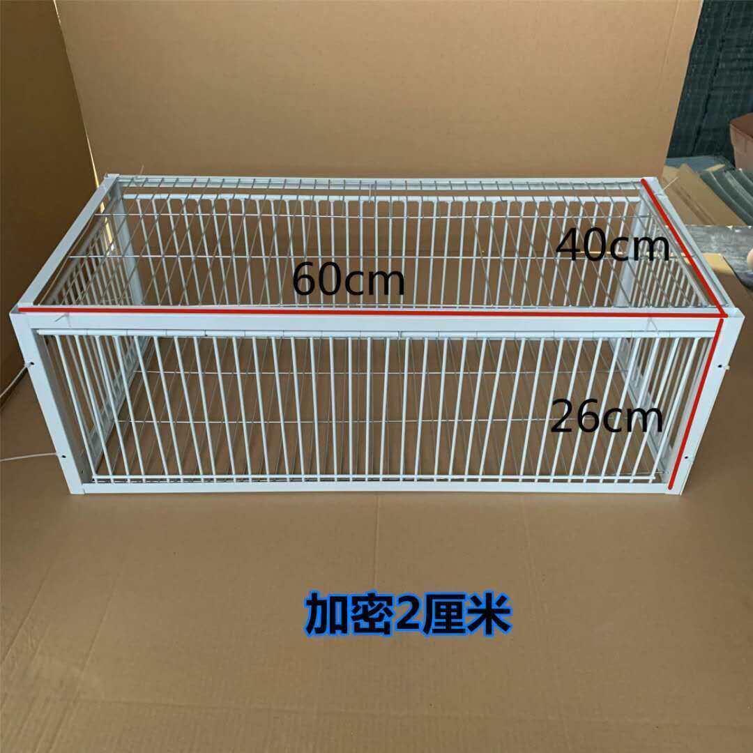 信鸽天落笼加密只进不出鸽子笼野外鸽子笼活络撞门笼抓鸽子陷阱