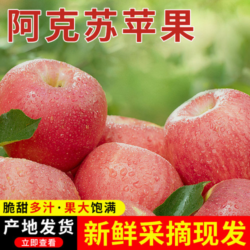 新疆阿克苏秋富士早熟苹果8斤顺丰包邮