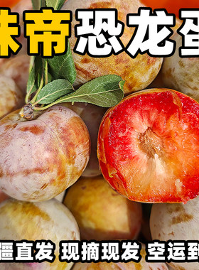 新疆味帝恐龙蛋新疆特色杏李经典青皮恐龙蛋顺丰空运阿克苏直发