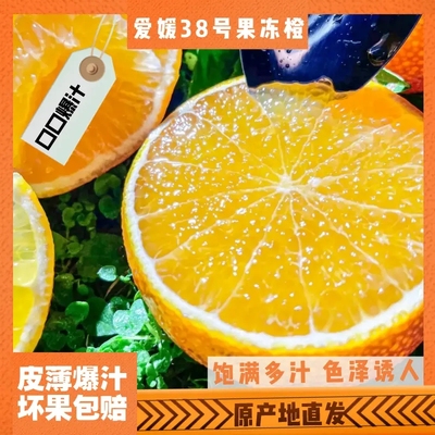 四川爱媛果冻橙  橙黄现摘鲜发薄皮爆汁酸甜 可发货到年前