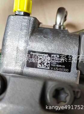 原装喷油泵​A2C20003282​A2C59513482​7H2Q-9B395-CH