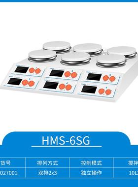 上海沪析HMS-6SG加热磁力搅拌器