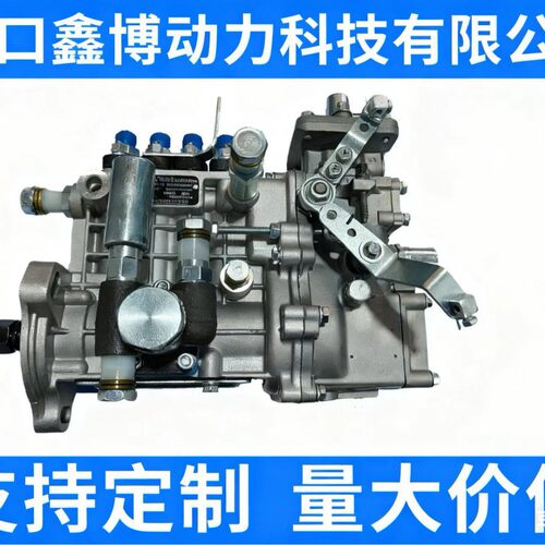 云内4102发动机BH4PM95R11喷油泵总成 订货号 4QKZ41转速 1500