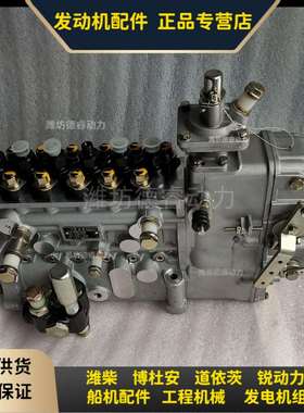 潍柴博杜安M26机械喷油泵X6231.492W型号BH6PZ140R原厂Baudouin