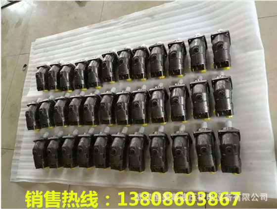 变量柱塞泵T6C-031-2R00-C1