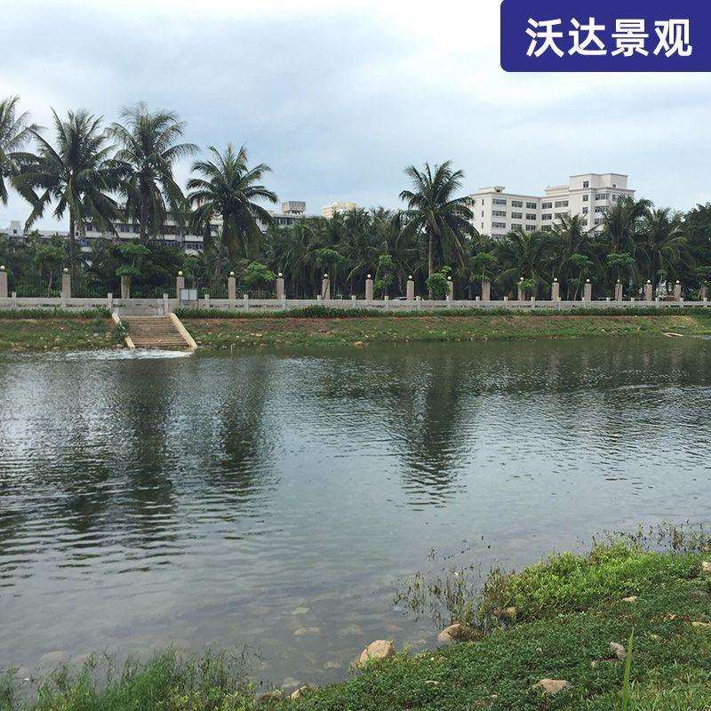 承接各类大型音乐喷水池广场景区室外跑动景观设计水处理设备