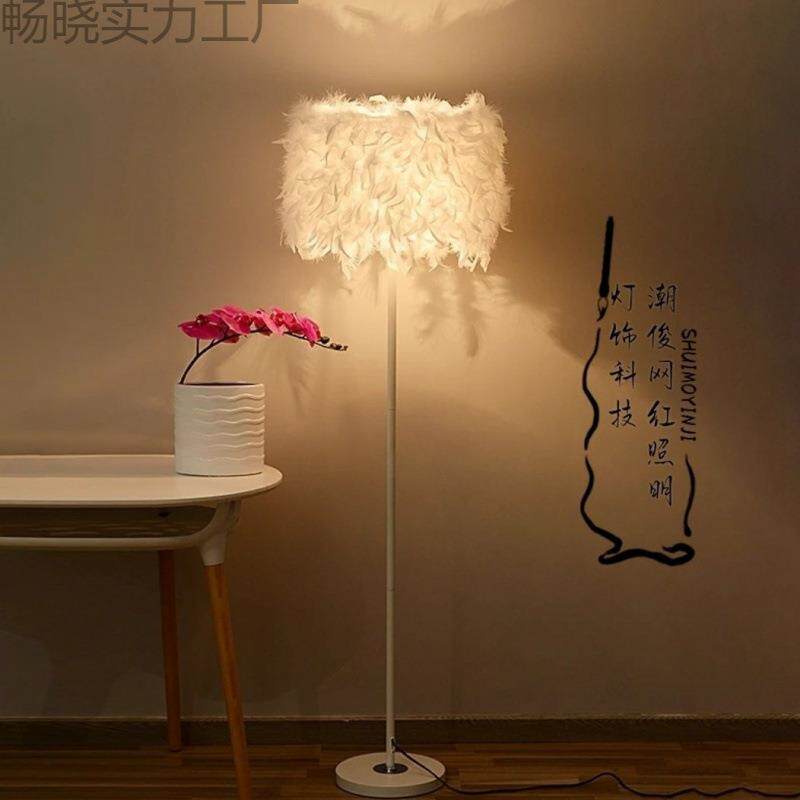 创意水晶羽毛落地灯婚庆客厅书房卧室床头台灯主播补光灯