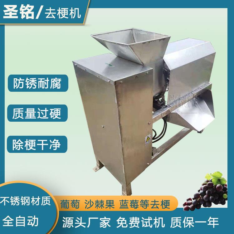 大型葡萄除梗机不锈钢容量大除梗快速不伤果粒红提圣女果除梗机
