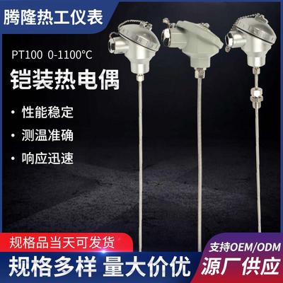 腾龙K型铠装热电偶WRNK-131易弯曲温度传感器探头PT100热电阻现货