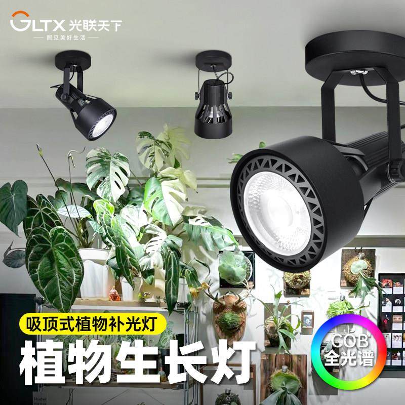 光联天下吸顶式植物补光灯客厅过道阳台热植绿植生长灯全光谱白光