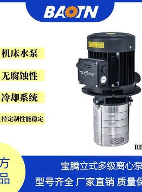 宝腾锐斯达RAVA8水泵不锈钢RBVA立式离心泵工业机械冷却多级RAVA4