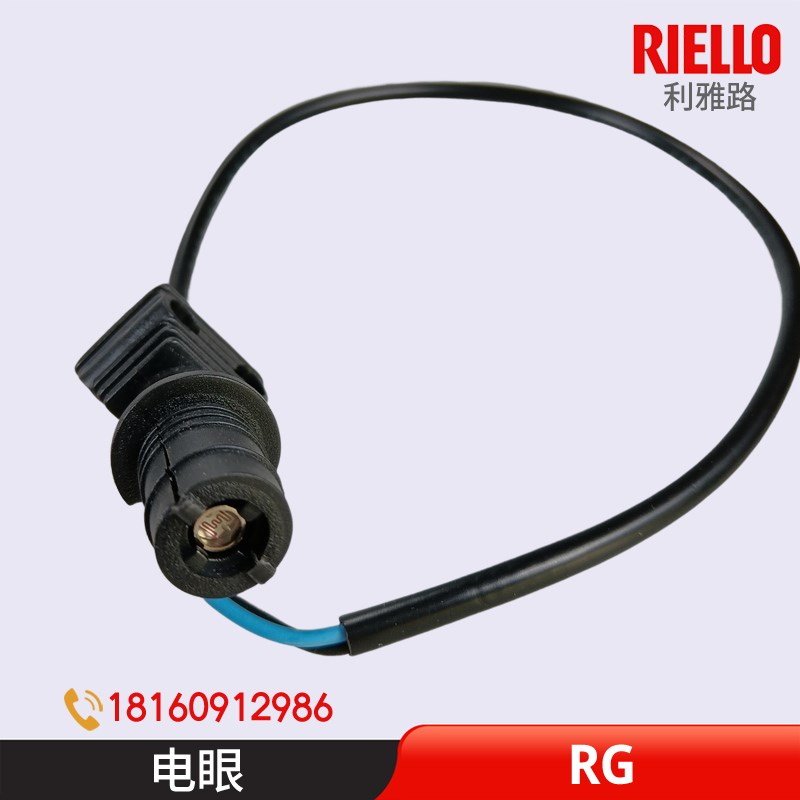 利雅路RG系列电眼 RG4S 5S RG4D5D火焰探测器感光电眼燃烧机