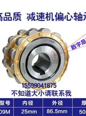 摆线针轮减速机专用配件偏心轴承RN307M 502307 RN312 50312 309