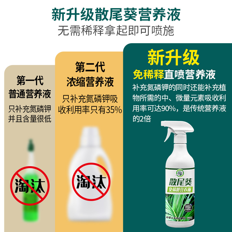 极速免稀释散尾葵肥料专用肥室内水培G肥料营养液凤尾竹家用盆栽