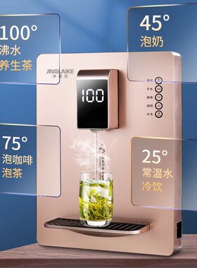 极速净莱a克管线机JLK-N08饮水机家用壁挂即热水调温配套纯水机净