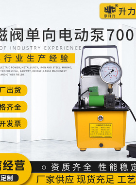 极速电磁阀单向电动泵700B 脚踩控制单向K电动泵 高压电磁阀电动