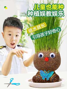 极速.开a花娃娃小盆栽头上长草的娃娃桌上容易养活浇水观察植物生