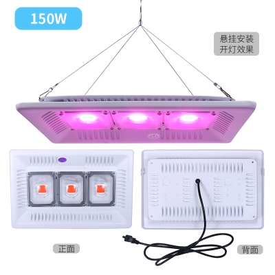 极速Lamp greenhousen spectrum large plant full-growsing vege