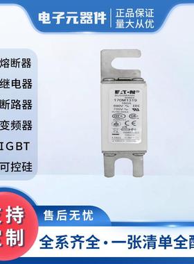 170M1319 低压熔断器 170M1320 熔断器底座 半导体电子元器件