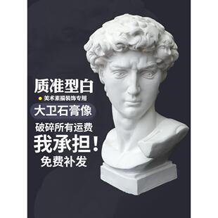 大卫石膏像素描几何体雕塑静物美术教具摄影道具摆件套装阿格里巴