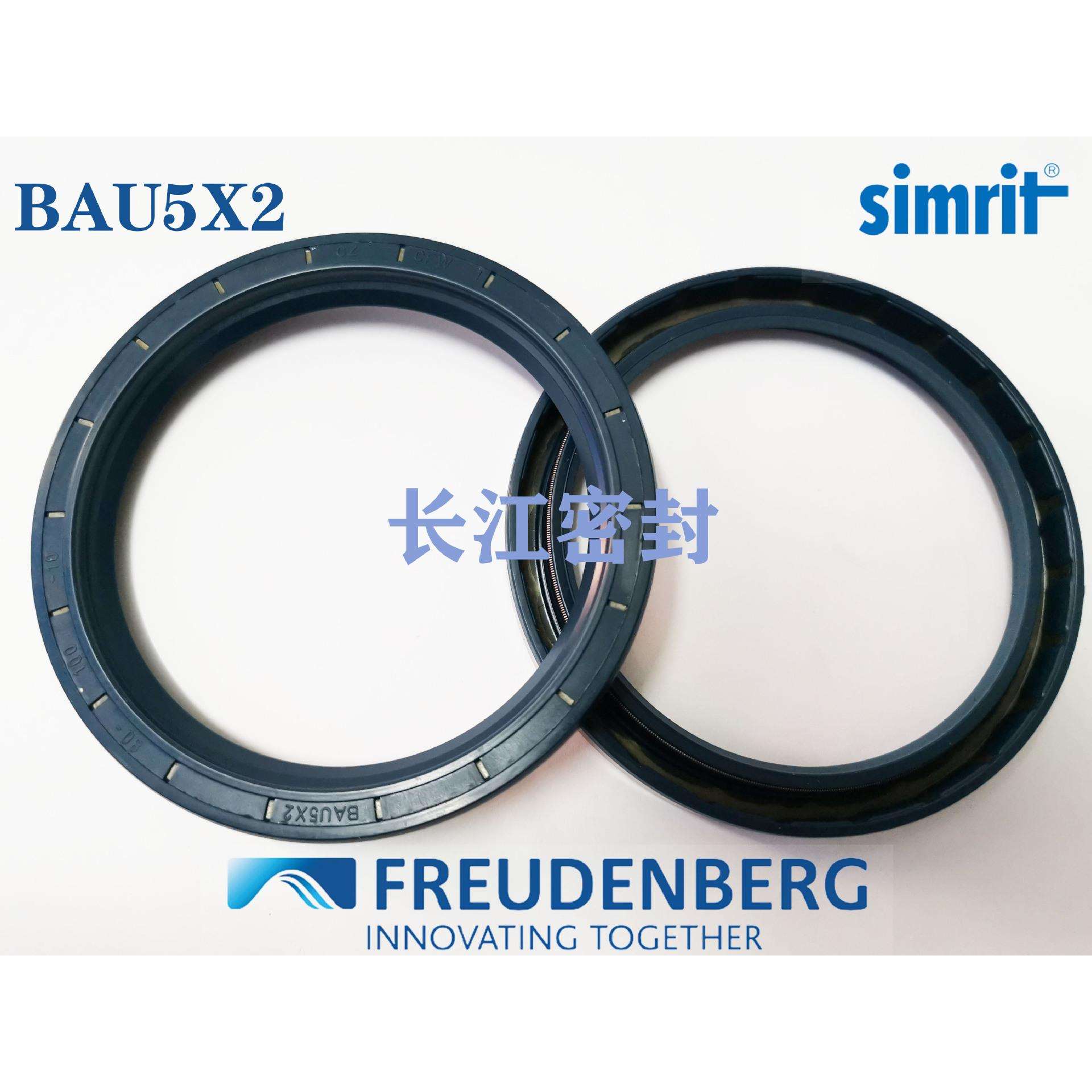 德国进口密封圈CZ CFW BAU5X2 80-100-10 75-100-13单唇骨架油封