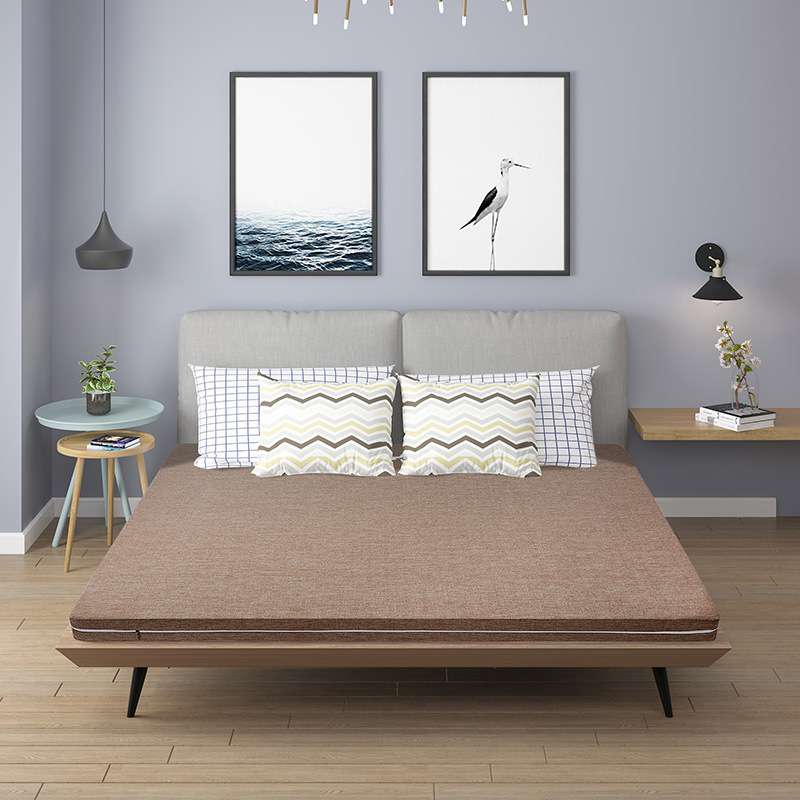 UG73天然椰棕床垫家用卧室硬垫棕垫席梦思太软加硬棕榈薄款护脊椎