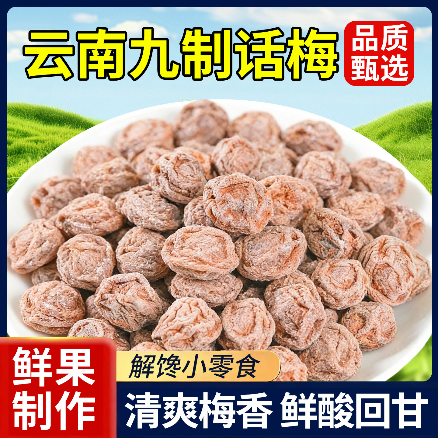 云南九制话梅大理特产青梅干咸酸梅子蜜饯孕妇解馋休闲零食包装