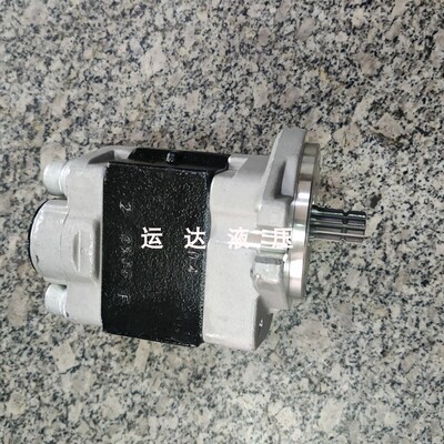 高压齿轮泵 天津岛津液压有s限公司 SGP1A30.8D2H9-R433T