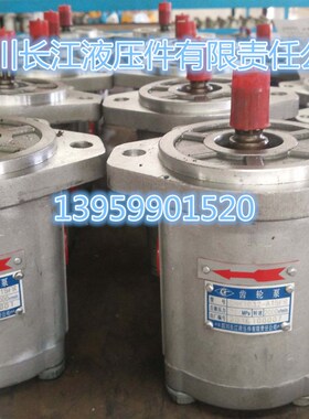 长江齿轮泵CBKf1004.06.08.10.12.16.20.25C/E/F/G-A/B1/2/3/4FL/