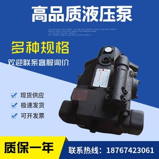 台湾柱塞泵Ve50A1R10X液压油泵V50A2R10X V50A3R10X