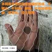 极速隐形a晒衣防掉网兜晾衣防护网防风高楼晾晒安全伸缩晾衣杆防