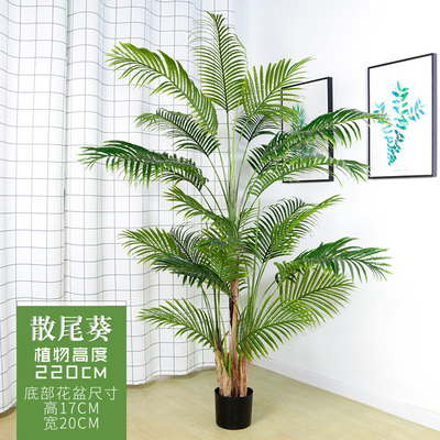极速large nordikc traveler banana simulation green plant par