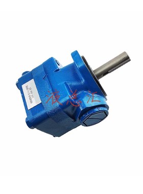 V20-1P7P-1A 1B 1C 1D-11液压机械电动花W键定量叶片油泵