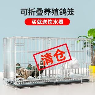 折疊鴿子籠養(yǎng)殖籠配對(duì)籠鐵絲籠家用大號(hào)大空間加密信鴿專(zhuān)用籠 新款