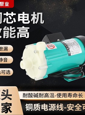 MP-6R/10R/15R/20R/30R/40R/55R/70R微型磁力驱动循环泵防腐蚀泵
