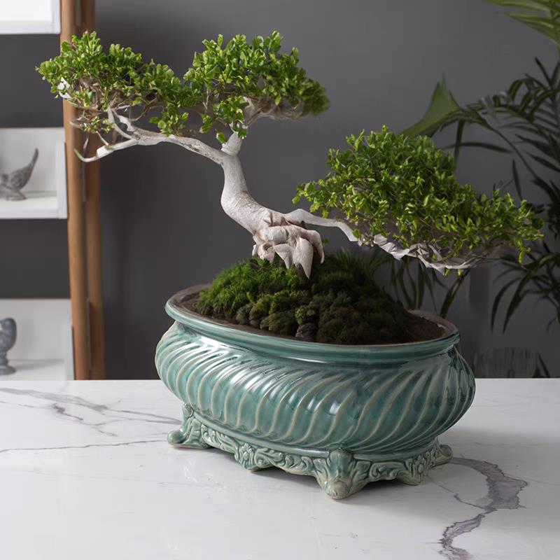 开片裂纹高档椭圆长方盆景陶瓷盆窑变复古仿宋瓷透气家居盆栽花盆