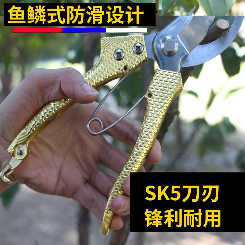 特价不锈钢摘果稀果剪黑枸杞子疏花葡萄采摘剪刀加长园艺剪枝剪