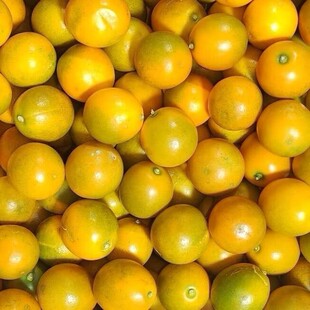 融安脆皮金桔广西小金桔5斤新鲜水果当季砂糖橘子柑桔纯甜10