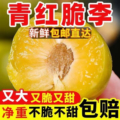 正宗四川脱骨李子新鲜半边红茵