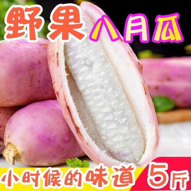 新鲜现摘八月瓜当季野生八月