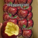 包邮 大凉山丑苹果9斤新鲜当季 水果青盐源红富士冰糖心丑平果