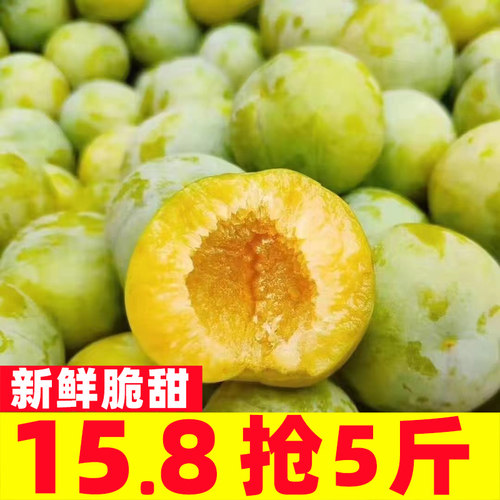 四川脱骨李子新鲜水果大甜