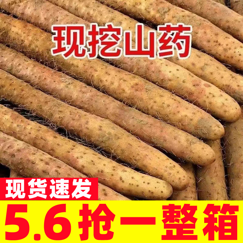 新鲜山药5斤装 正宗铁棍山药河南焦作垆土怀山药铁杆淮山药包邮