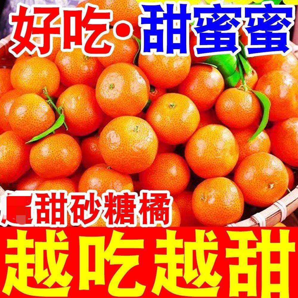 正宗广西砂糖橘新鲜当季