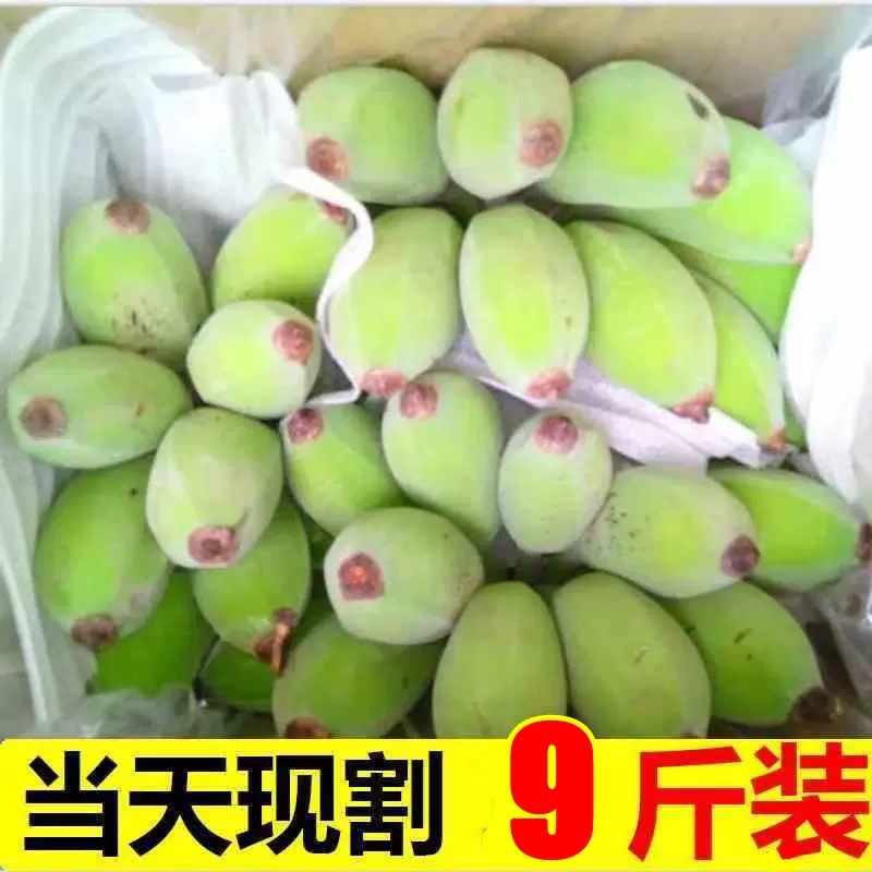 广西香蕉新鲜小米蕉水果包邮小香芭蕉苹果蕉9斤自然熟当季10