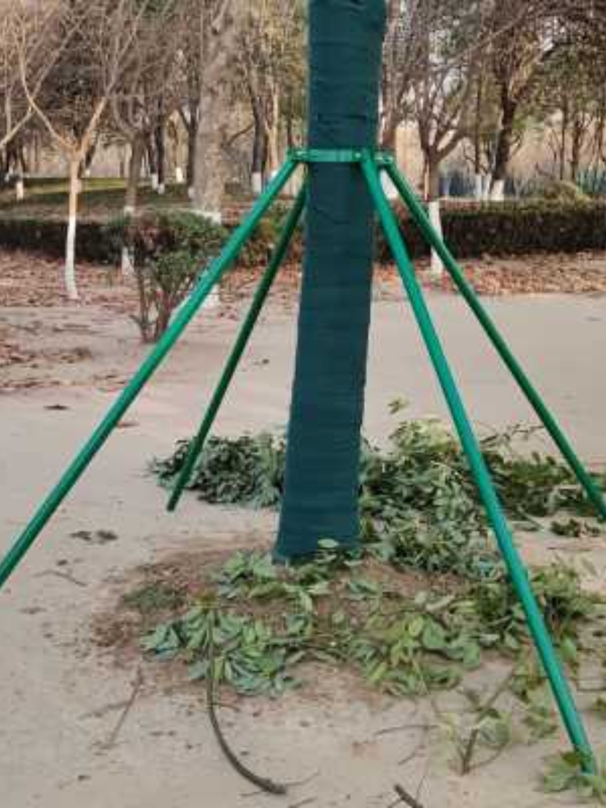 钢管支撑架树支撑杆固定器园艺支架撑绿化大树木树树苗防风园林