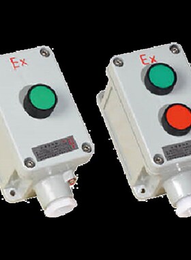 控制按钮 FLA53 2钮 启停开关盒5A 380JV10A机旁操作盒 红绿按钮