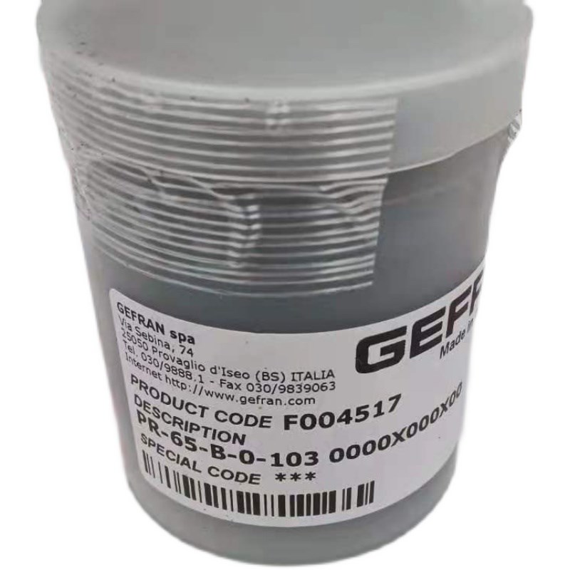 意大利杰弗伦GEFRAN 传感器 PR-65-B-0-103. 大量现货