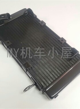 适用黄龙BJ600GS BN600i TNT60H0水箱风扇组件散热器水冷器油冷器